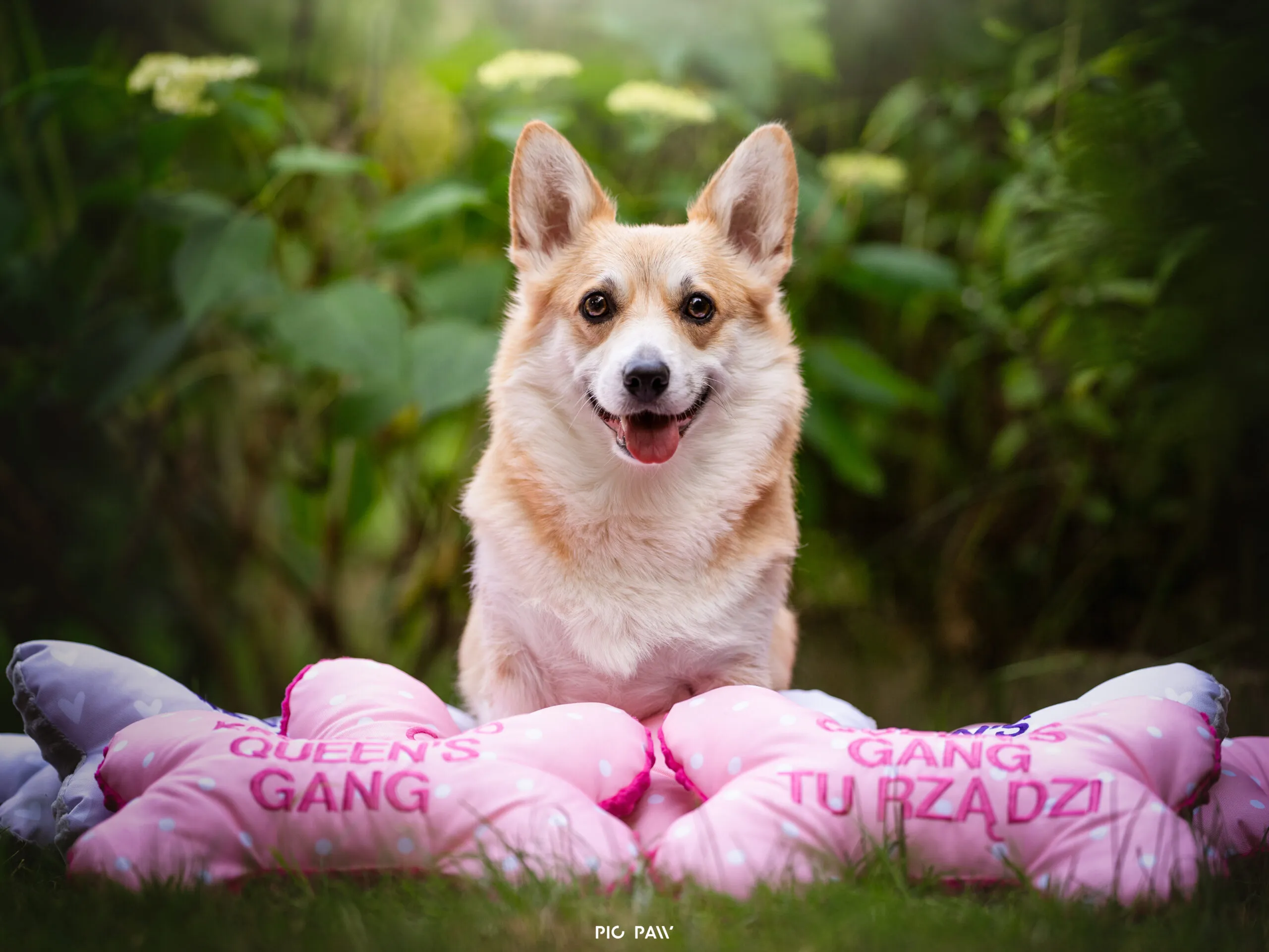 Kawa Bul-Corg