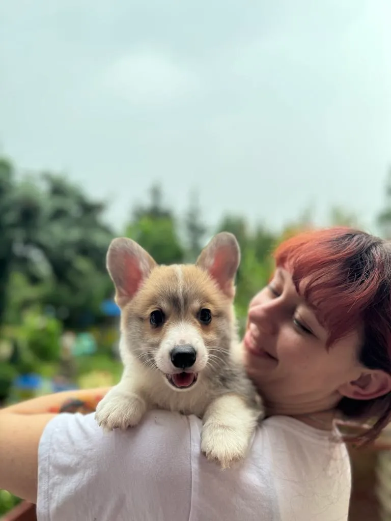 Miot P - 29.05.2024